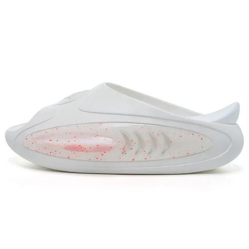 Rigorer Shark 2 Begonia