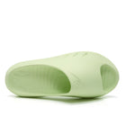 Rigorer Mini Shark Green